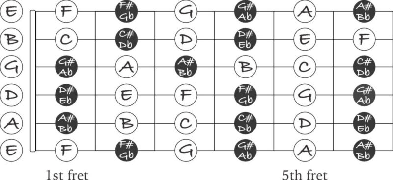 notes on the fretboard frets 1 through 6